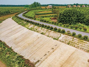 安慶江心洲基礎護堤建設項目